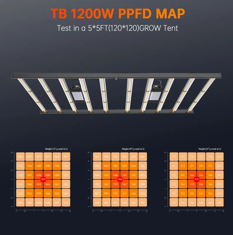 product-791-795